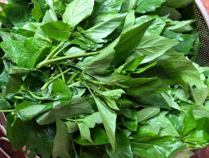 2 loại rau cực thơm, còn giúp làm sạch ruột, loại bỏ chất béo, xào hay trộn đều tươi ngon, sảng khoái- Ảnh 4.