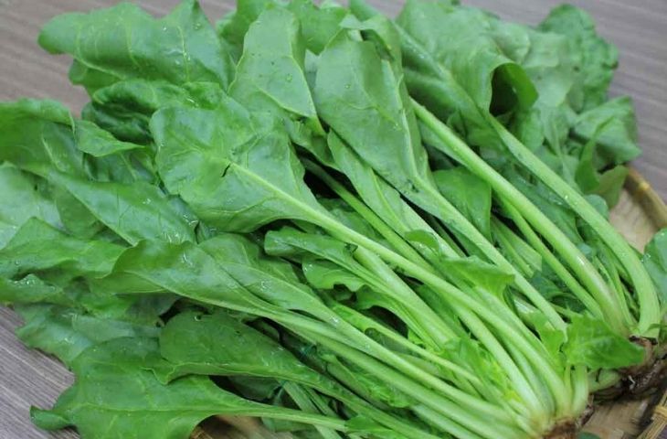 Loại rau giàu dinh dưỡng bậc nhất, tốt xương, bổ não, đem chiên với trứng trẻ ăn cao lớn, thông minh- Ảnh 1. Loại rau giàu dinh dưỡng bậc nhất, tốt xương, bổ não, đem chiên với trứng trẻ ăn cao lớn, thông minh- Ảnh 1.