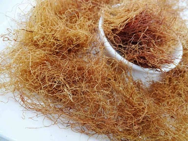 Bộ phận bỏ đi này lại là vị thuốc quý, đem nấu với bí đao thành nước giải nhiệt, vừa ngon vừa bổ- Ảnh 1. Bộ phận bỏ đi này lại là vị thuốc quý, đem nấu với bí đao thành nước giải nhiệt, vừa ngon vừa bổ- Ảnh 1.