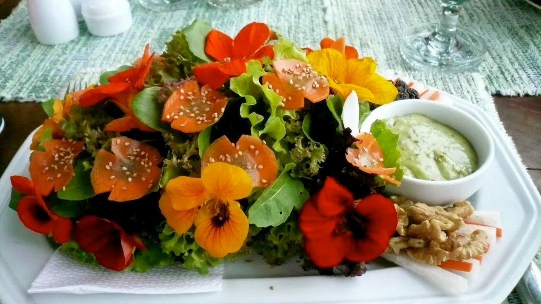 Người thông minh trồng cây cảnh bình an, lá xanh, hoa thắm, chữa bệnh, ăn ngon, mang may mắn cho gia đình- Ảnh 7. Người thông minh trồng cây cảnh bình an, lá xanh, hoa thắm, chữa bệnh, ăn ngon, mang may mắn cho gia đình- Ảnh 7.