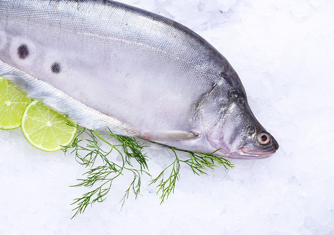 Loại cá "bớt tươi" mới ngon, đem làm chả ăn thơm phức, còn là vị thuốc quý chữa bệnh- Ảnh 1.