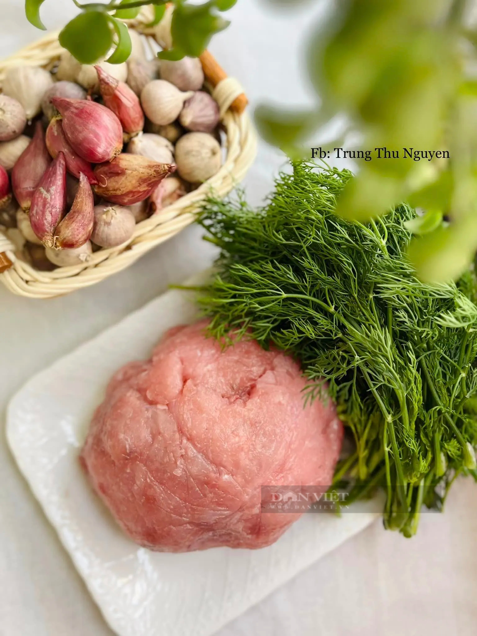 Loại cá "bớt tươi" mới ngon, đem làm chả ăn thơm phức, còn là vị thuốc quý chữa bệnh- Ảnh 3.