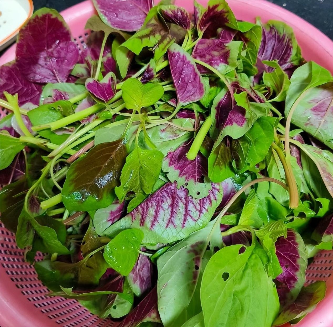 Loại rau nên ăn nhiều trong tháng 6, thanh nhiệt, giải độc, bổ sung canxi, giúp xương chắc khỏe- Ảnh 6.