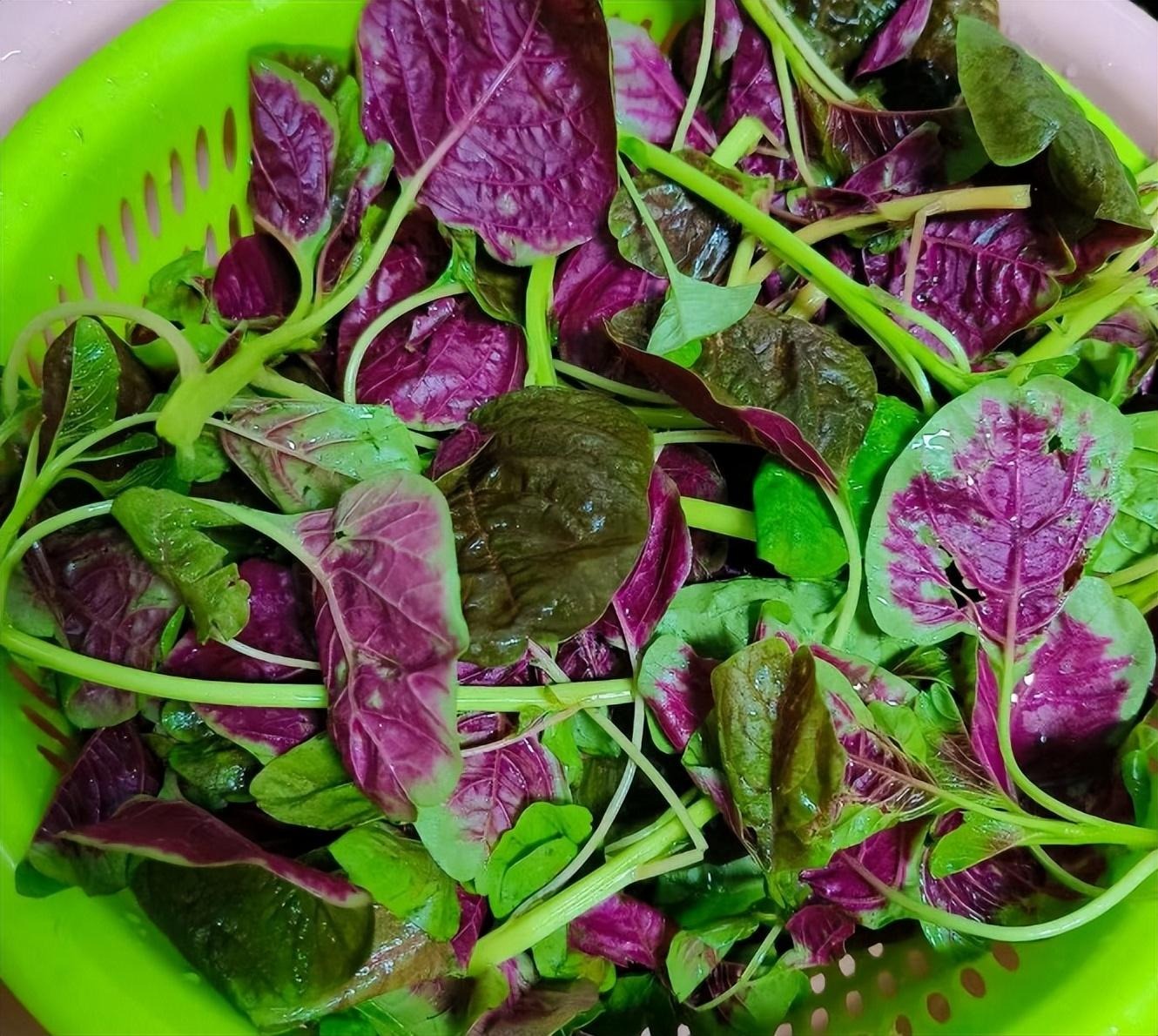 Loại rau nên ăn nhiều trong tháng 6, thanh nhiệt, giải độc, bổ sung canxi, giúp xương chắc khỏe- Ảnh 7.