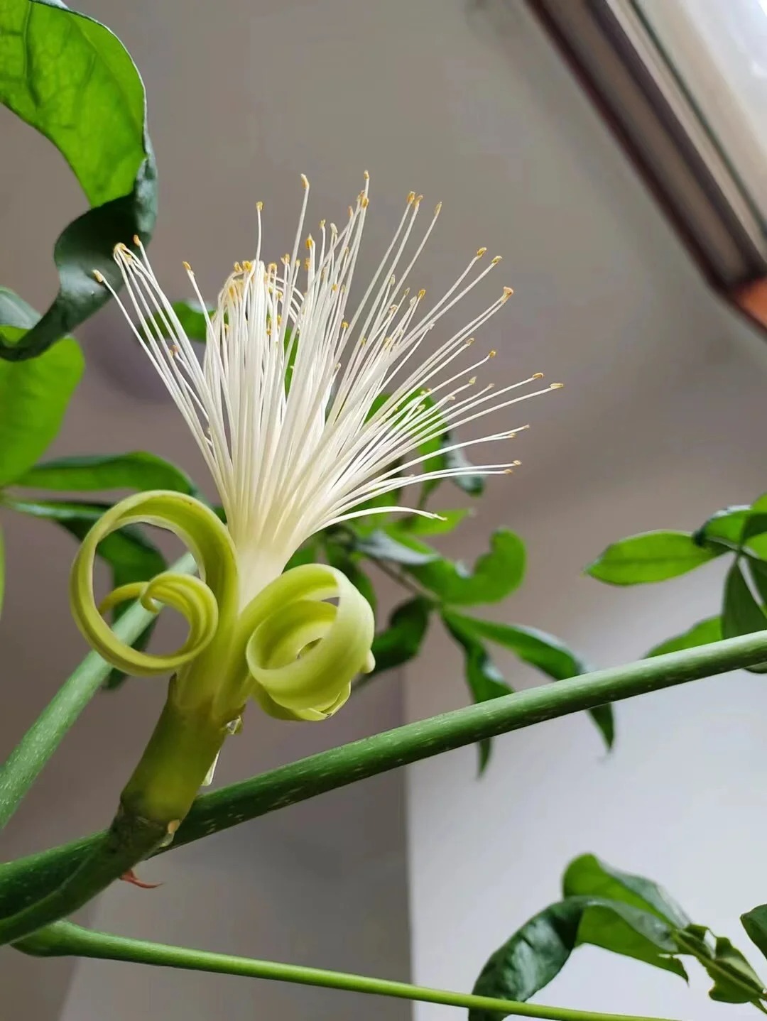 Người xưa nói: 