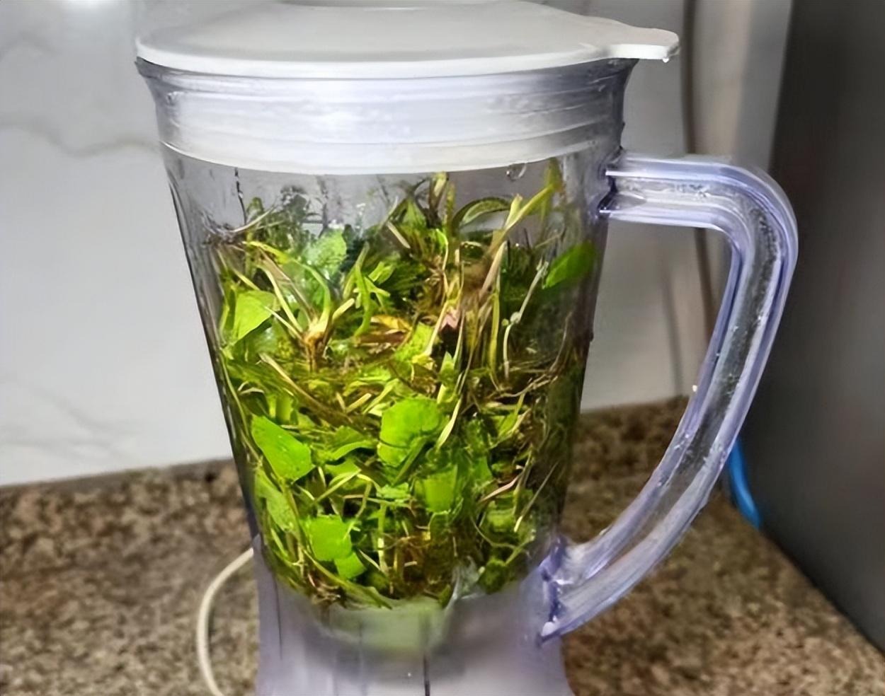 Loại rau dại như "thuốc bổ não", thanh nhiệt, giải độc, cải thiện trí nhớ, làm thạch mát rượi, thơm phức- Ảnh 5.