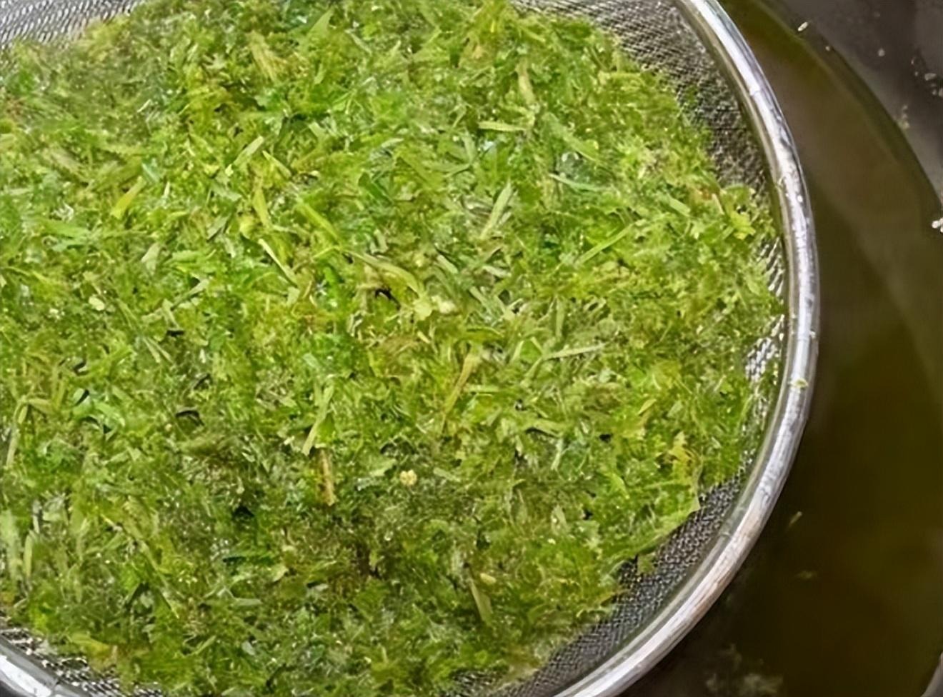 Loại rau dại như "thuốc bổ não", thanh nhiệt, giải độc, cải thiện trí nhớ, làm thạch mát rượi, thơm phức- Ảnh 7.