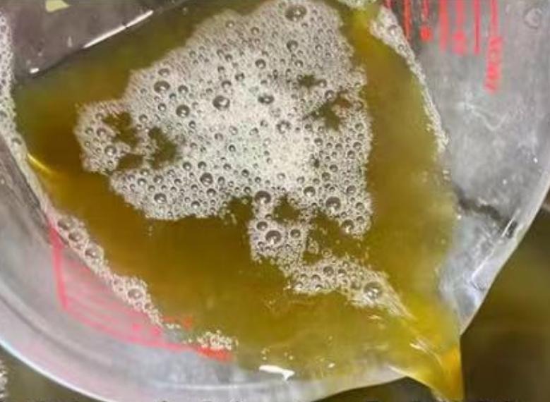 Loại rau dại như "thuốc bổ não", thanh nhiệt, giải độc, cải thiện trí nhớ, làm thạch mát rượi, thơm phức- Ảnh 9.