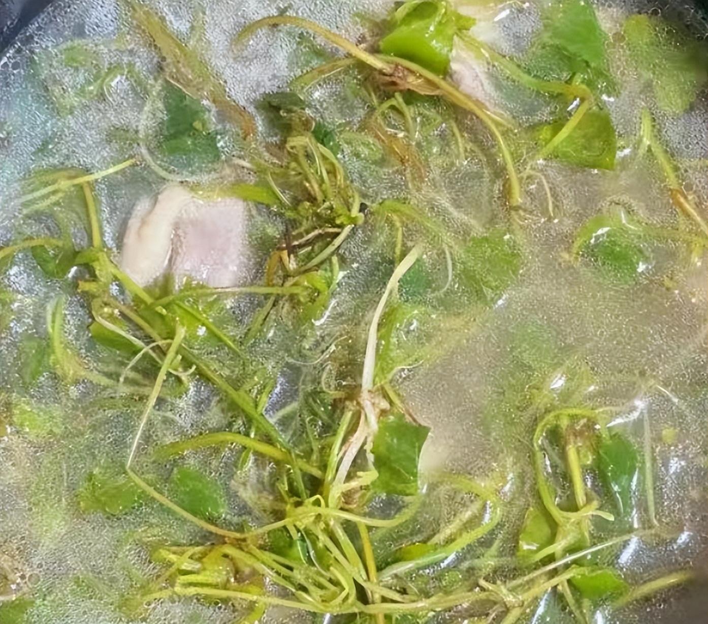 Loại rau dại như "thuốc bổ não", thanh nhiệt, giải độc, cải thiện trí nhớ, làm thạch mát rượi, thơm phức- Ảnh 15.