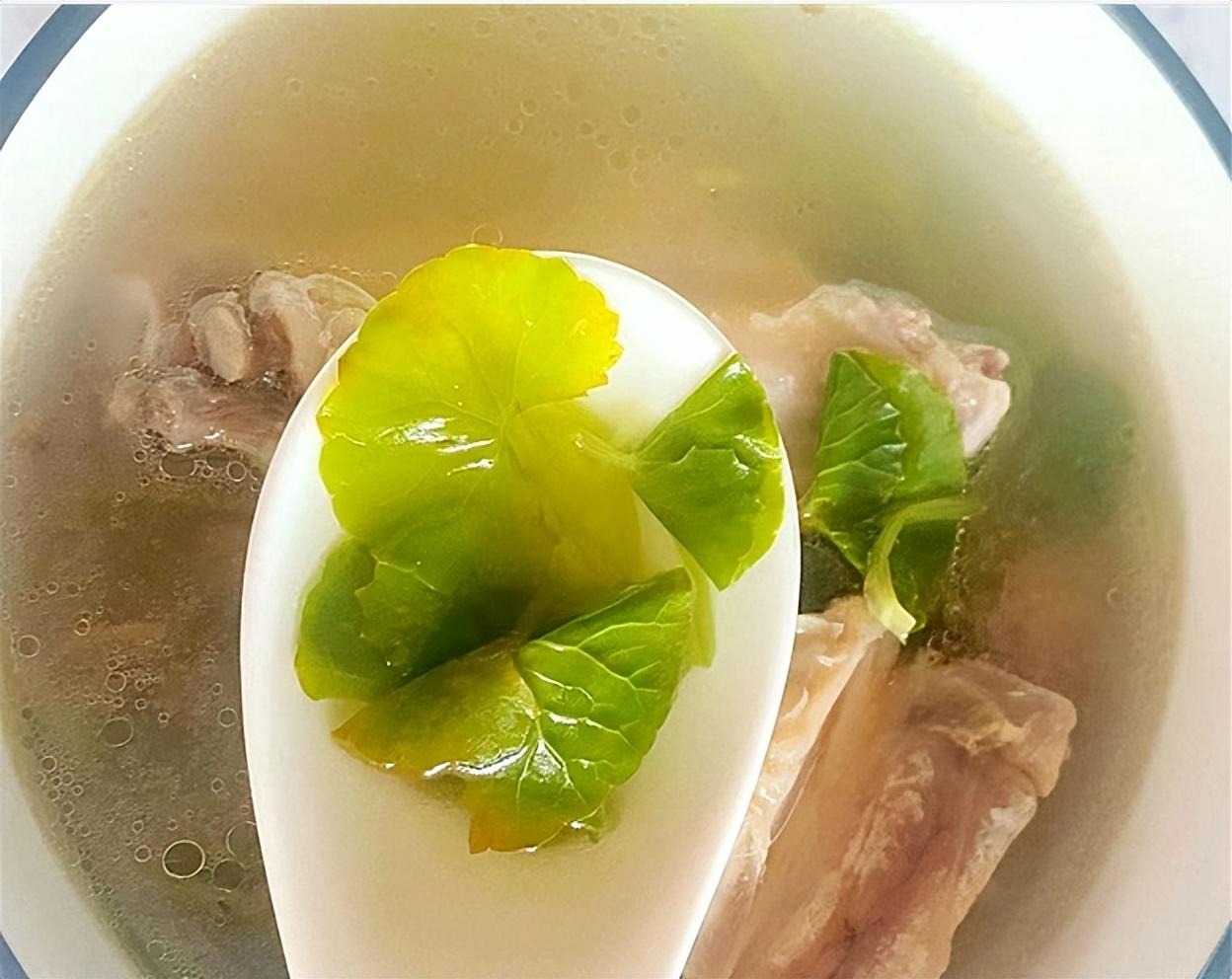 Loại rau dại như "thuốc bổ não", thanh nhiệt, giải độc, cải thiện trí nhớ, làm thạch mát rượi, thơm phức- Ảnh 16.