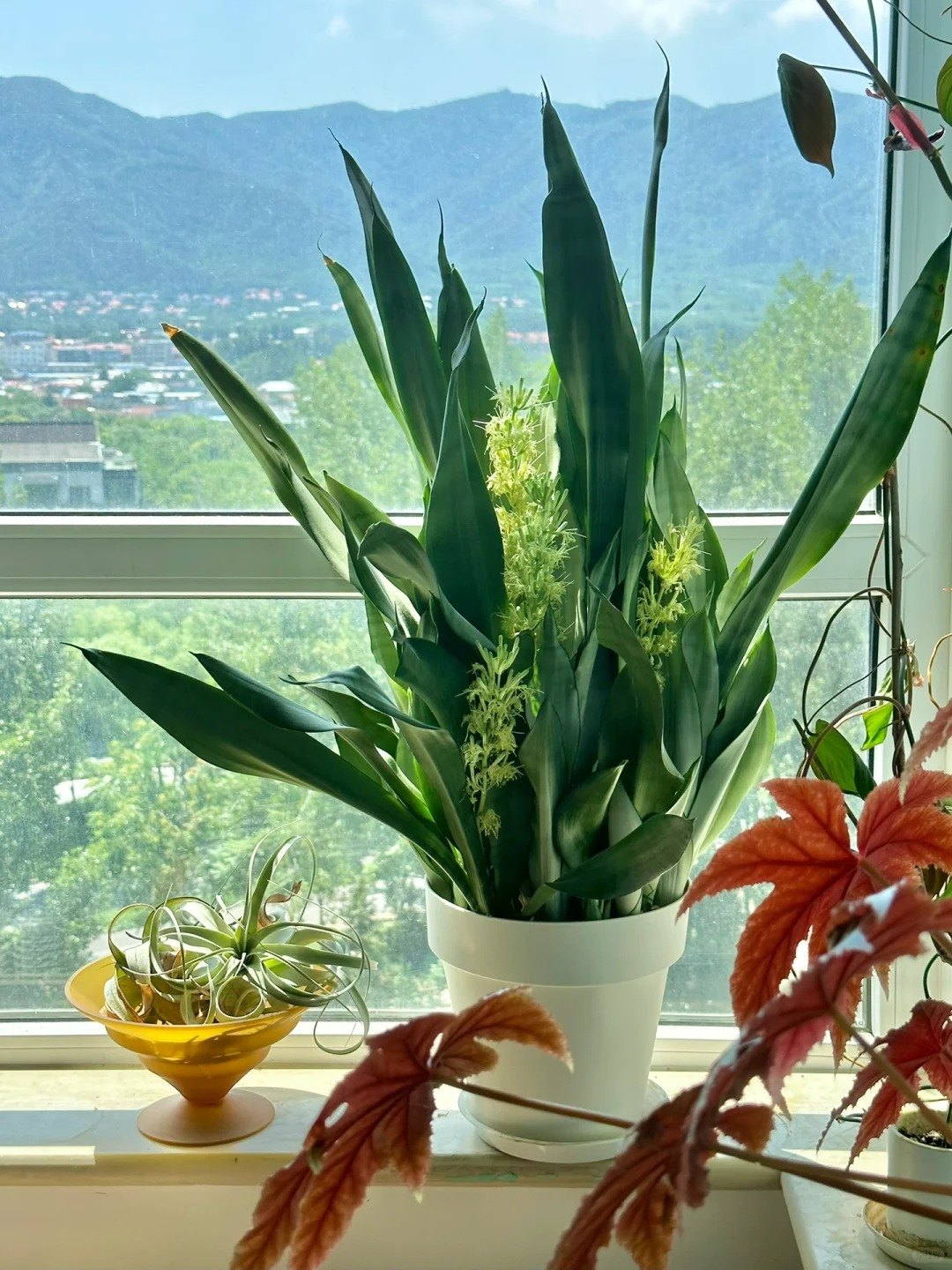 Người xưa nói: 
