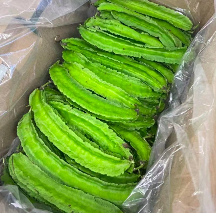 Loại rau như con sâu bự, giàu vitamin, bảo vệ thị lực, giúp xương chắc khỏe, xào thịt rất thơm- Ảnh 1.