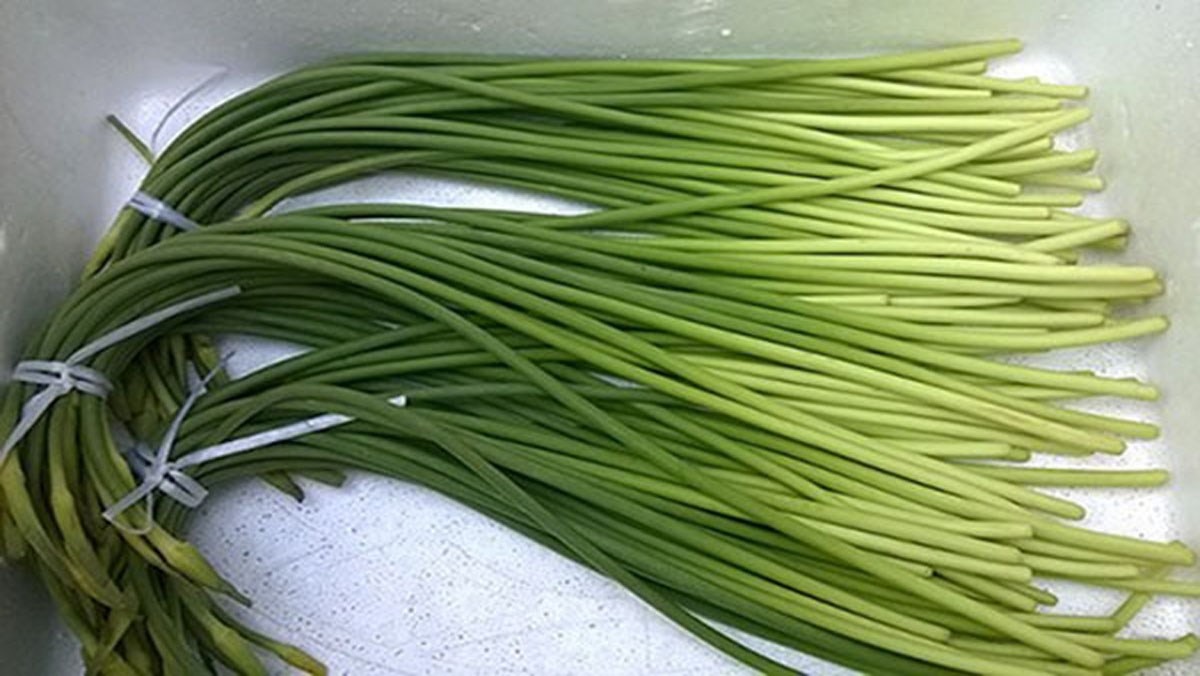 Loại rau chứa penicillin tự nhiên, chống lại virus, tươi ngon, bổ dưỡng, xào thịt thơm giòn sừn sựt- Ảnh 1.