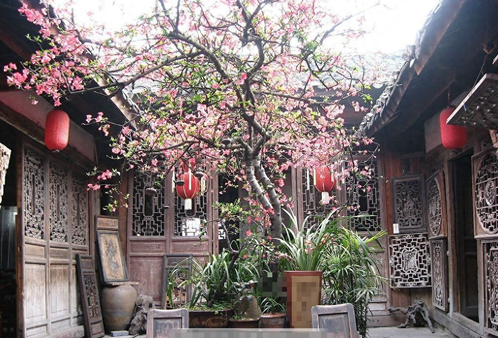 Người xưa dặn: "Nhà có cây thanh long, gia đình bình an, con cháu giàu có, thịnh vượng"- Ảnh 10. Người xưa dặn: "Nhà có cây thanh long, gia đình bình an, con cháu giàu có, thịnh vượng"- Ảnh 10.