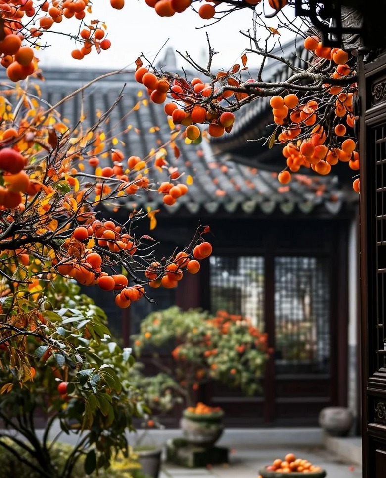 Người xưa dặn: "Nhà có cây thanh long, gia đình bình an, con cháu giàu có, thịnh vượng"- Ảnh 4. Người xưa dặn: "Nhà có cây thanh long, gia đình bình an, con cháu giàu có, thịnh vượng"- Ảnh 4.