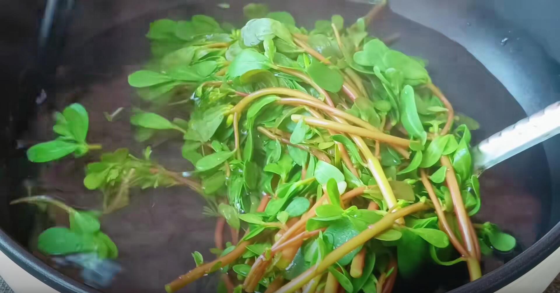 Loại rau dại "trường thọ", ăn nhiều giải độc, cải thiện thị lực, hạ đường huyết, làm bánh, trộn nộm rất ngon- Ảnh 17.