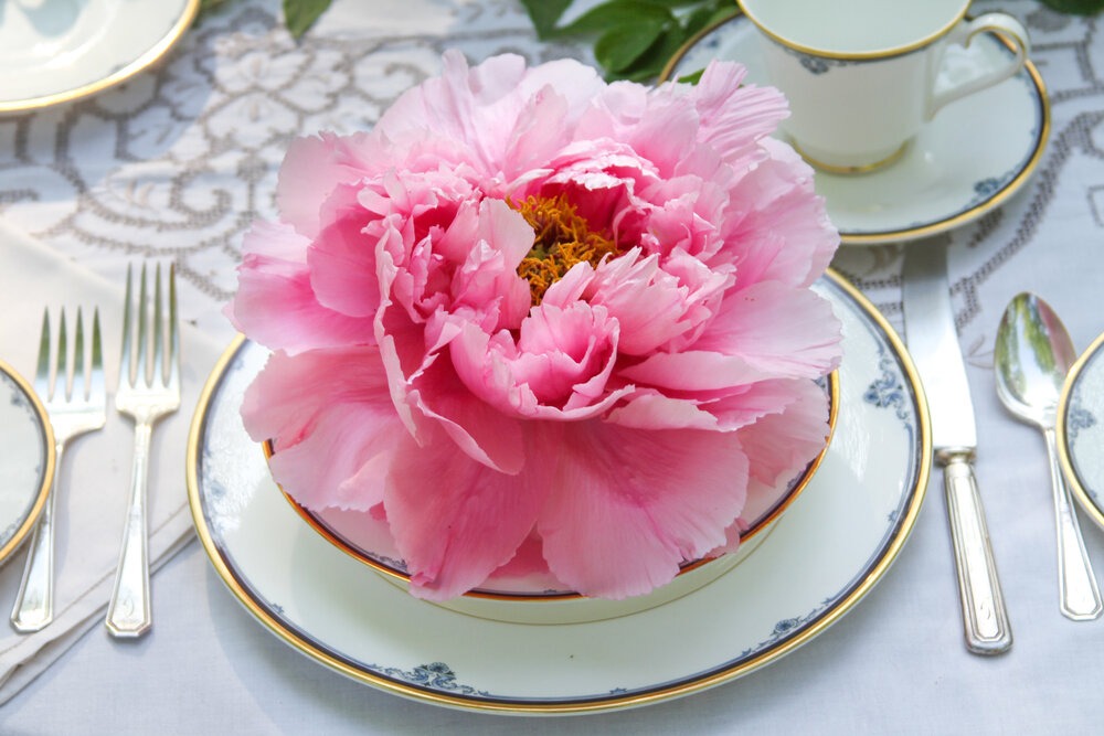 Trồng 100 cây cảnh không bằng "báu vật sống" này, thu hút tài lộc, cải thiện vận may cho gia đình- Ảnh 11.