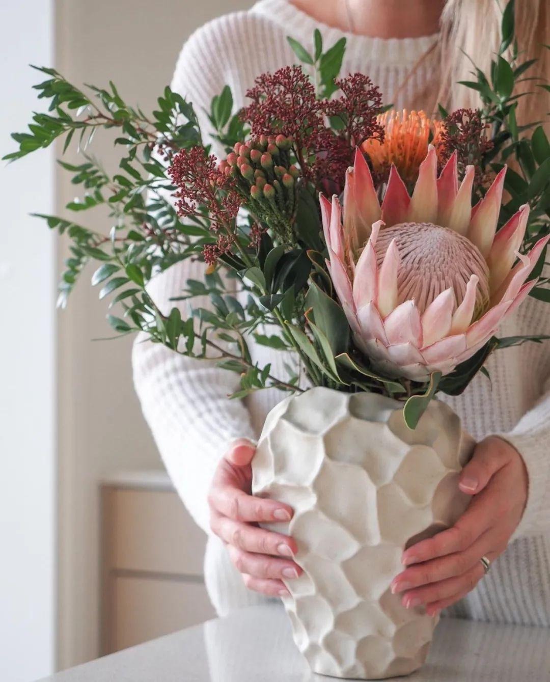 Nhà giàu thích trồng 5 cây cảnh phú quý, nghe tên đã thấy độc lạ, hoa to khổng lồ, chiêu tài, hút lộc- Ảnh 6.