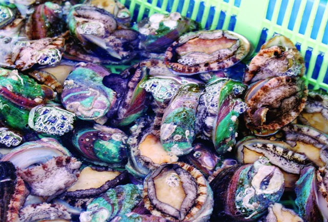 Loại thịt giá trị như vàng, dưỡng tim mạch, giữ xương chắc khỏe, ức chế tế bào ung thư, om sườn rất ngon- Ảnh 1.