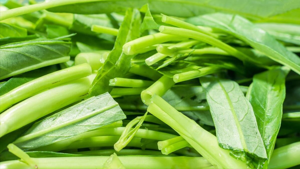 4 loại rau 4 loại rau