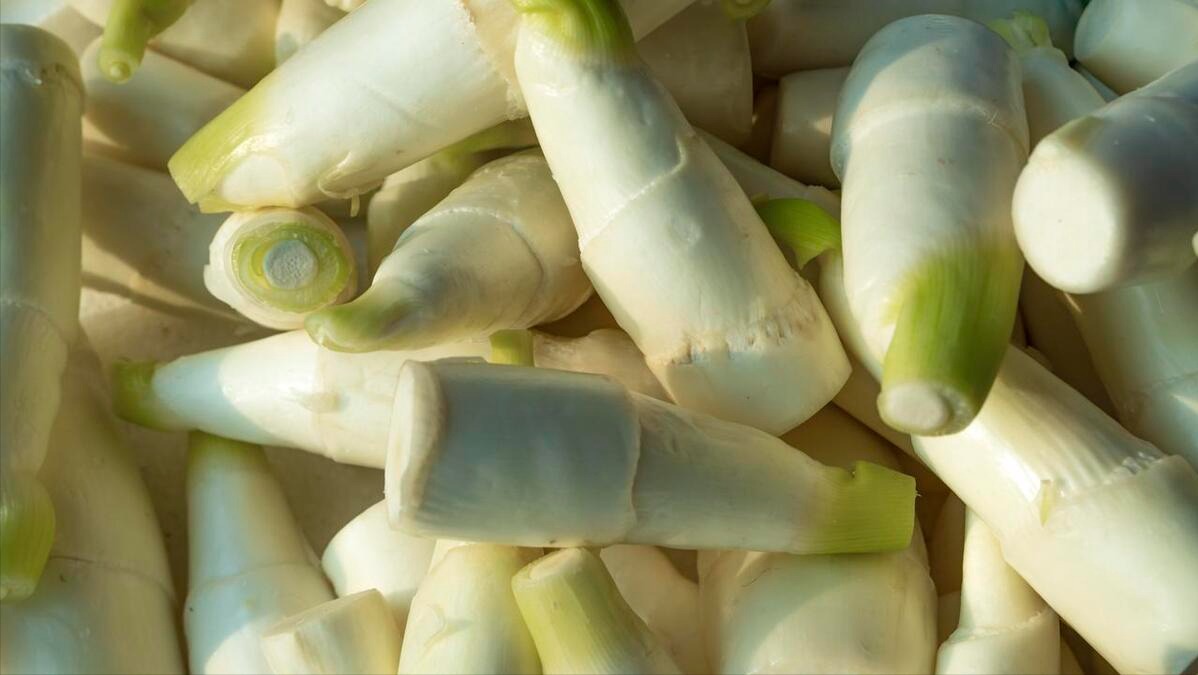 4 loại rau 4 loại rau