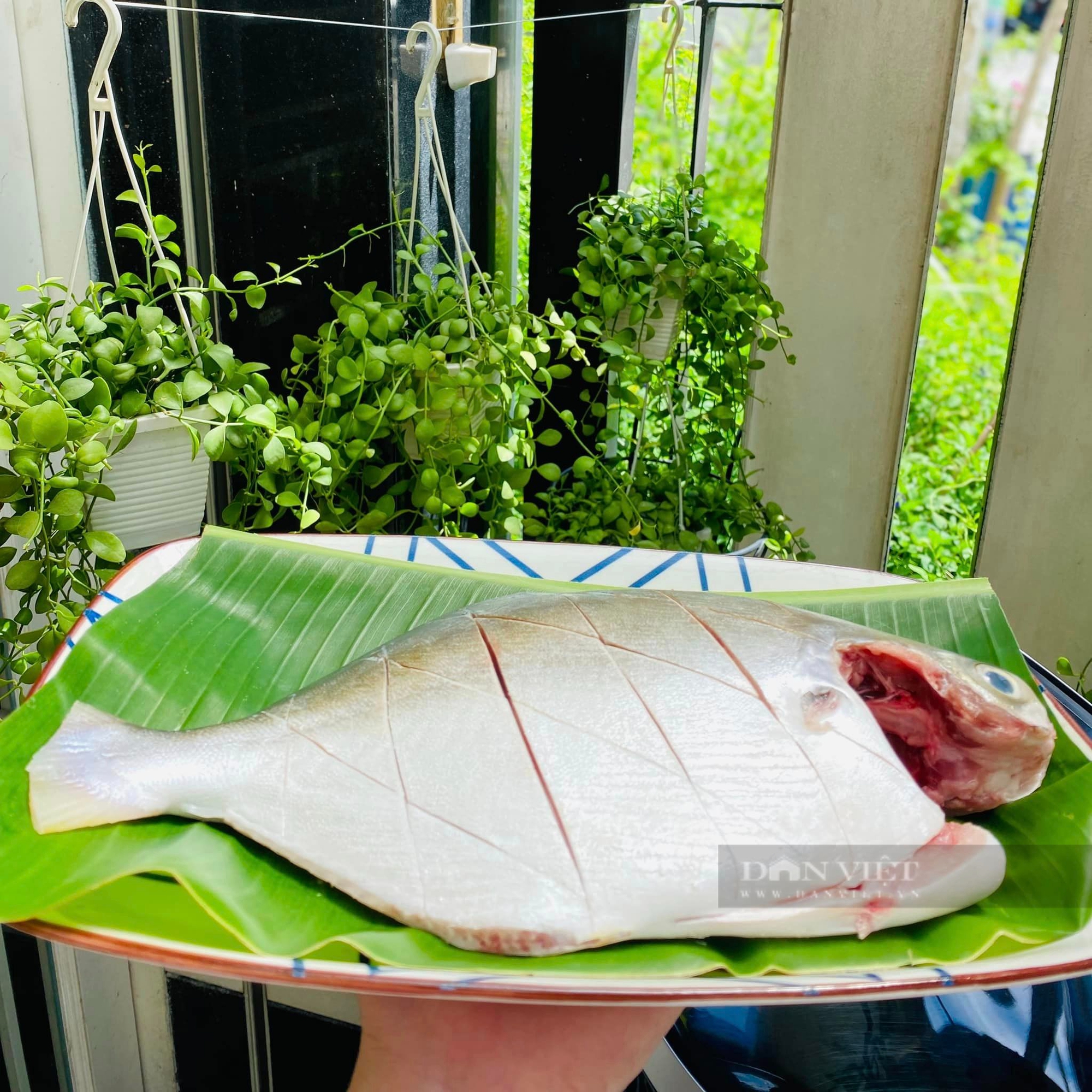 Loại cá đứng đầu trong "tứ quý ngư", giàu dinh dưỡng, trị suy nhược, mất ngủ, đem nướng muối ớt cực ngon- Ảnh 1.