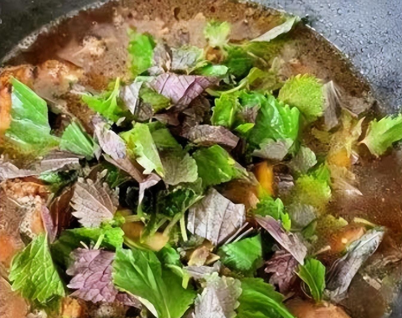 Loại rau gia vị giá rẻ lại là vị thuốc quý, ăn nhiều giúp tăng cường miễn dịch, om thịt vịt ngon lạ- Ảnh 9. Loại rau gia vị giá rẻ lại là vị thuốc quý, ăn nhiều giúp tăng cường miễn dịch, om thịt vịt ngon lạ- Ảnh 9.