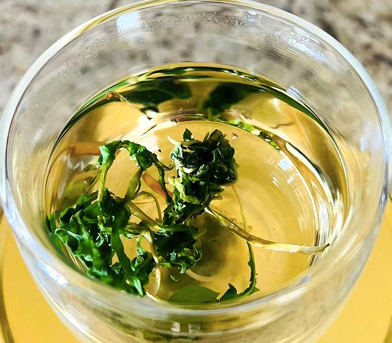 Loại rau dại không nên bỏ lỡ, thanh nhiệt, tiêu ẩm, tăng cường miễn dịch, làm trà giải khát cực đỉnh- Ảnh 2.