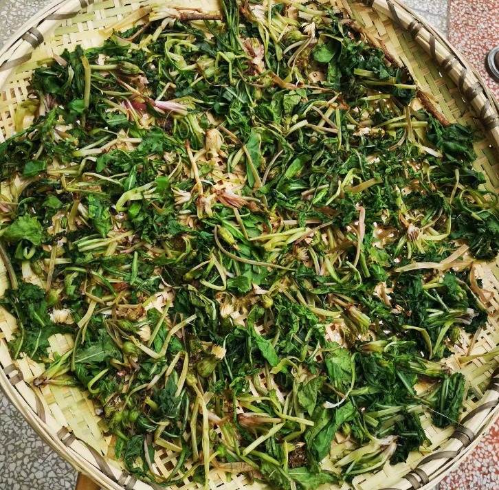 Loại rau dại không nên bỏ lỡ, thanh nhiệt, tiêu ẩm, tăng cường miễn dịch, làm trà giải khát cực đỉnh- Ảnh 8.