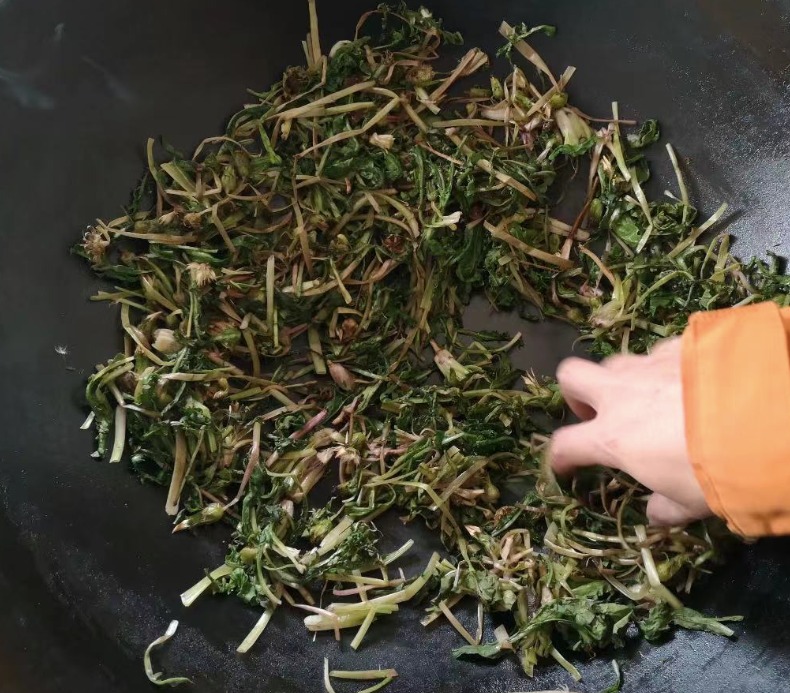 Loại rau dại không nên bỏ lỡ, thanh nhiệt, tiêu ẩm, tăng cường miễn dịch, làm trà giải khát cực đỉnh- Ảnh 10.