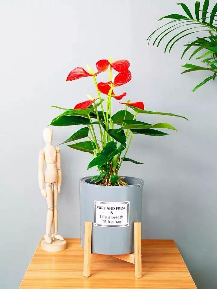 Người xưa nói: "Nhà có ngũ phúc, càng sống lâu càng thoải mái, tài phú đủ cả"- Ảnh 11. Người xưa nói: "Nhà có ngũ phúc, càng sống lâu càng thoải mái, tài phú đủ cả"- Ảnh 11.