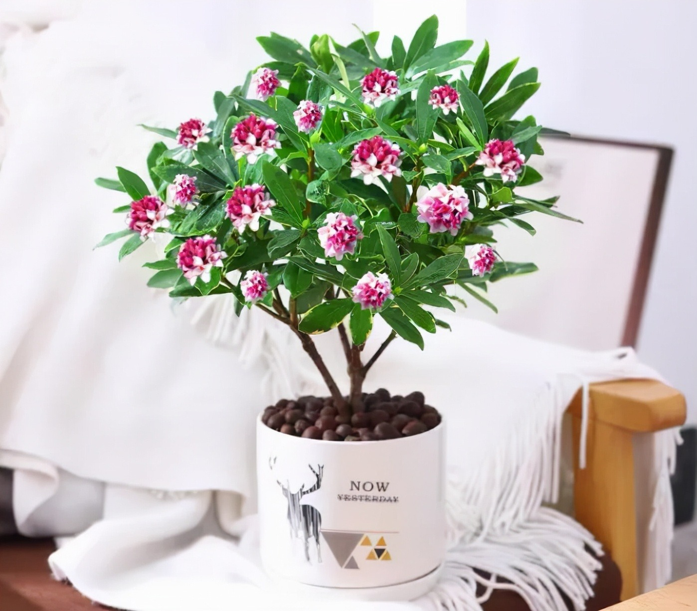 Người xưa nói: "Nhà có ngũ phúc, càng sống lâu càng thoải mái, tài phú đủ cả"- Ảnh 13. Người xưa nói: "Nhà có ngũ phúc, càng sống lâu càng thoải mái, tài phú đủ cả"- Ảnh 13.