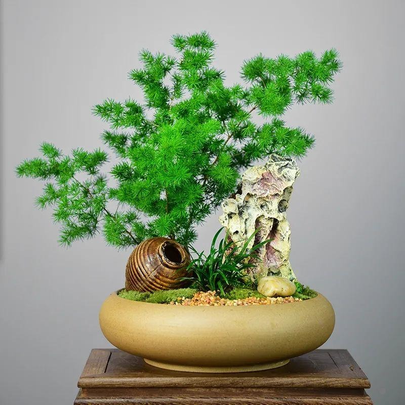 Người xưa nói: "Nhà có ngũ phúc, càng sống lâu càng thoải mái, tài phú đủ cả"- Ảnh 8. Người xưa nói: "Nhà có ngũ phúc, càng sống lâu càng thoải mái, tài phú đủ cả"- Ảnh 8.