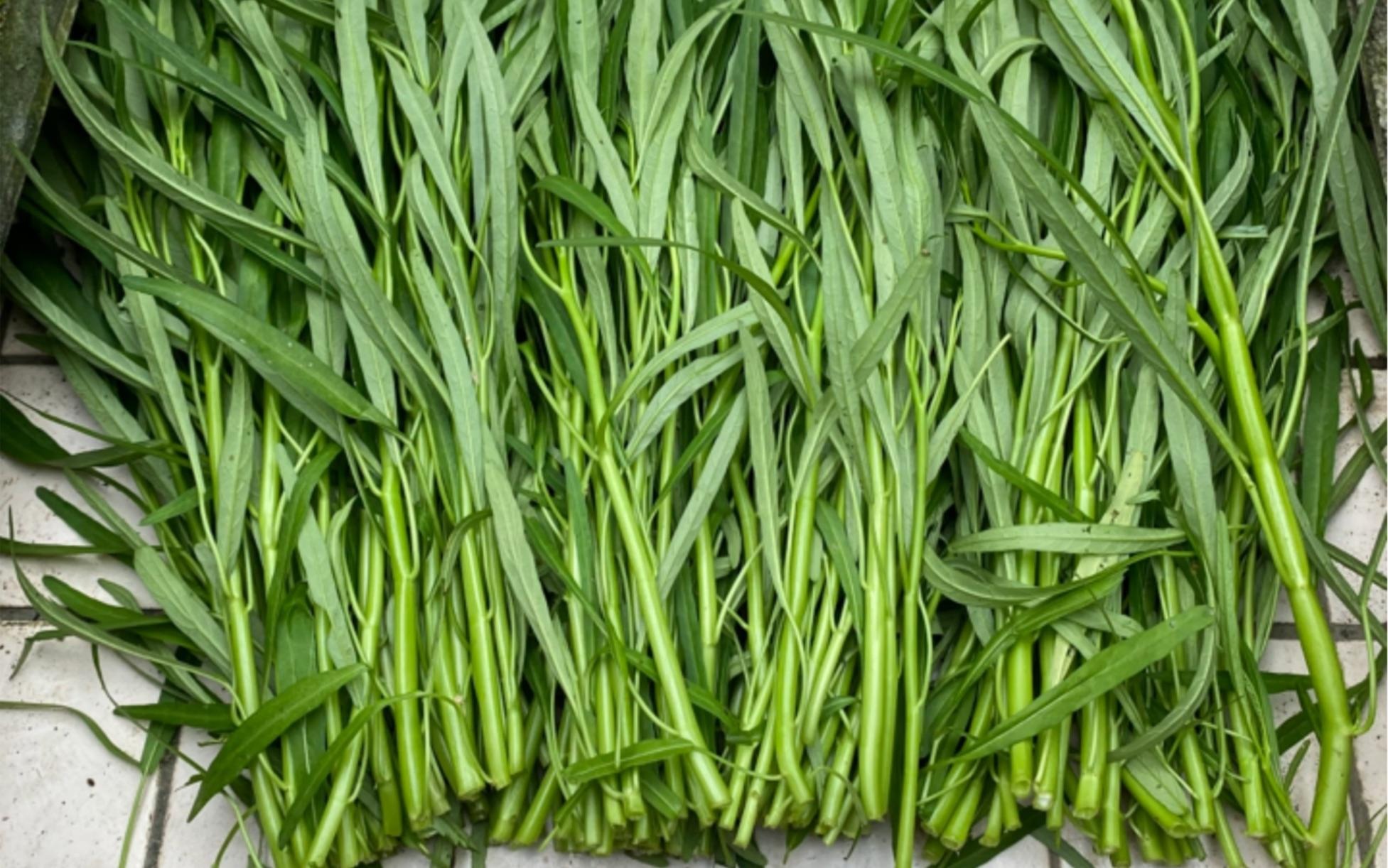 Loại rau quốc dân, giá rẻ, canxi gấp 10 lần cà chua, ăn nhiều trẻ cao, già khỏe, làm món gì cũng ngon- Ảnh 2.