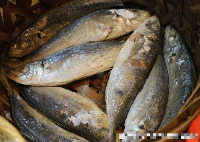 mua cá - Ảnh 4.