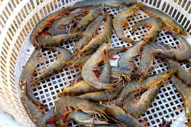 Hấp tôm - Ảnh 2. Hấp tôm - Ảnh 2.