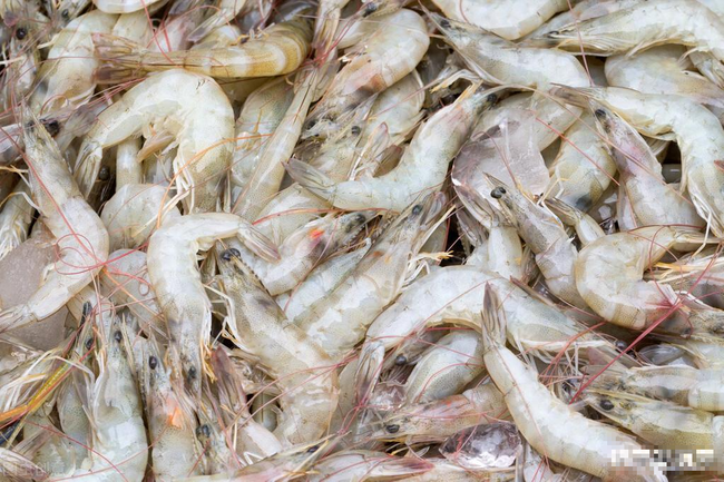 Hấp tôm - Ảnh 3. Hấp tôm - Ảnh 3.