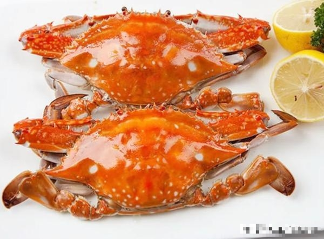 Hấp ghẹ đừng chỉ cho gừng, thêm loại nước này đảm bảo ghẹ mềm và tươi hơn - Ảnh 1. Hấp ghẹ đừng chỉ cho gừng, thêm loại nước này đảm bảo ghẹ mềm và tươi hơn - Ảnh 1.