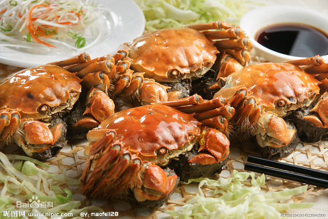 cho dai nau cua voi nhung thuc pham nay neu khong muon hai ca nha hinh anh 16