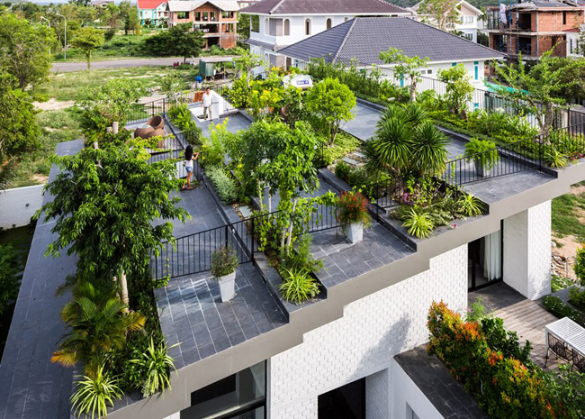 lop “ruong bac thang” len mai, ngoi nha viet duoc bao tay khen het loi hinh anh 3