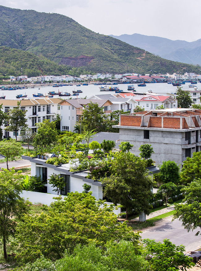 lop “ruong bac thang” len mai, ngoi nha viet duoc bao tay khen het loi hinh anh 2