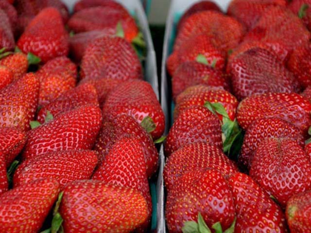 Tuyệt chiêu lựa trái cây trăm quả đều ngon như một