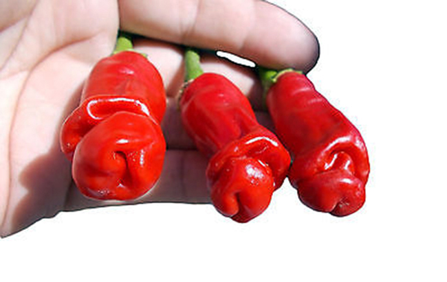 phat hoang voi nhung mon an nghe ten la nguong, nhin la do mat hinh anh 6