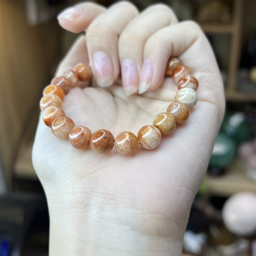 Chuỗi đá san hô đỏ