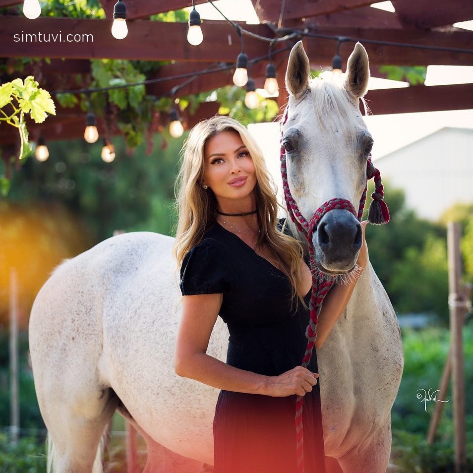 Tổng quan tử vi năm con ngựa Bính Ngọ 2026