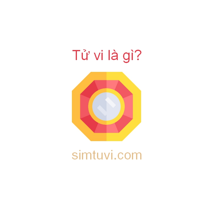 Tử vi là gì? - S-I-M Tử Vi